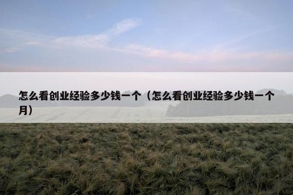 怎么看创业经验多少钱一个（怎么看创业经验多少钱一个月）