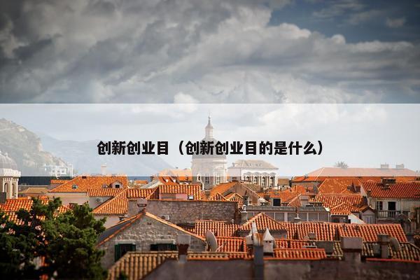 创新创业目（创新创业目的是什么）