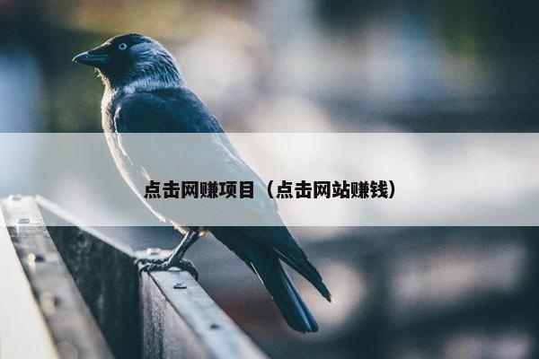 点击网赚项目（点击网站赚钱）