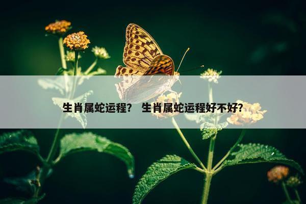 生肖属蛇运程？ 生肖属蛇运程好不好？