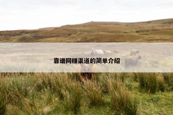 靠谱网赚渠道的简单介绍