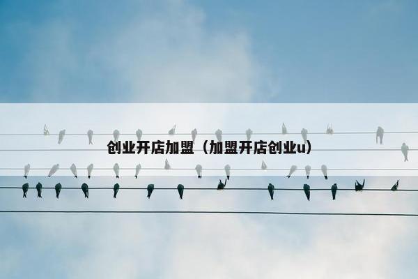 创业开店加盟（加盟开店创业u）