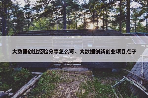 大数据创业经验分享怎么写，大数据创新创业项目点子