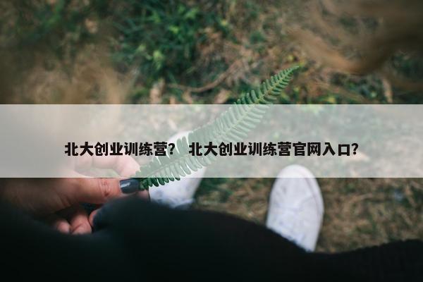 北大创业训练营？ 北大创业训练营官网入口？