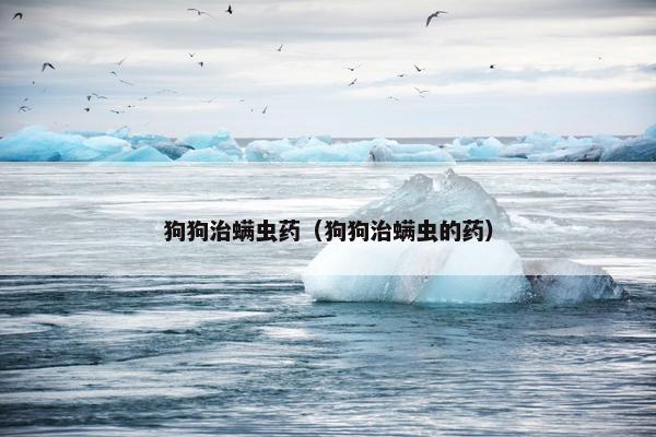 狗狗治螨虫药（狗狗治螨虫的药）