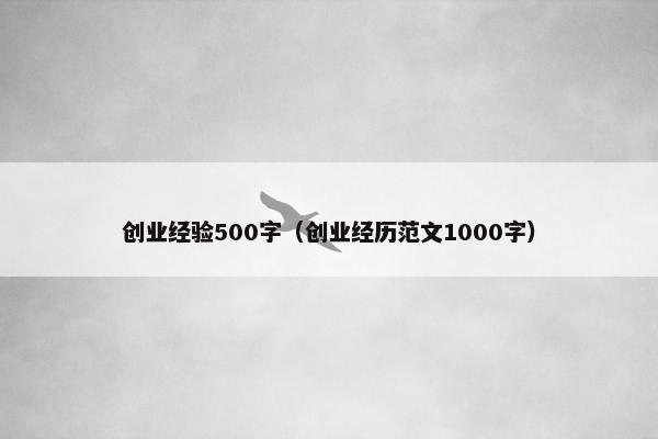 创业经验500字（创业经历范文1000字）