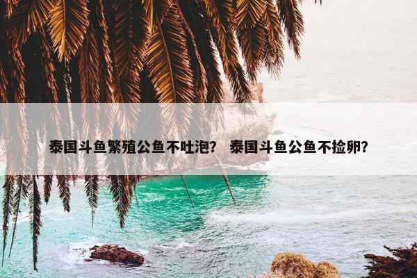 泰国斗鱼繁殖公鱼不吐泡？ 泰国斗鱼公鱼不捡卵？