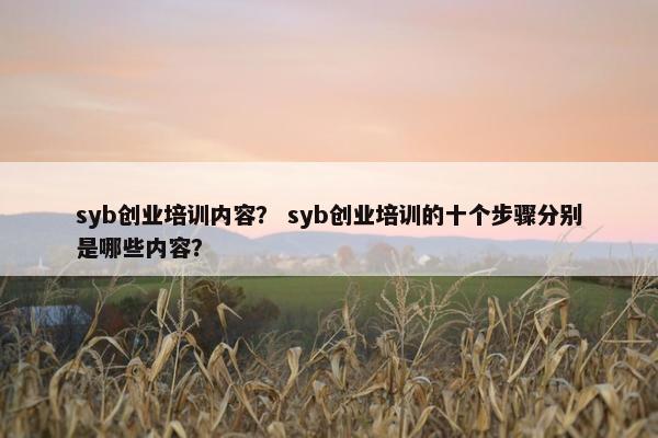 syb创业培训内容？ syb创业培训的十个步骤分别是哪些内容？