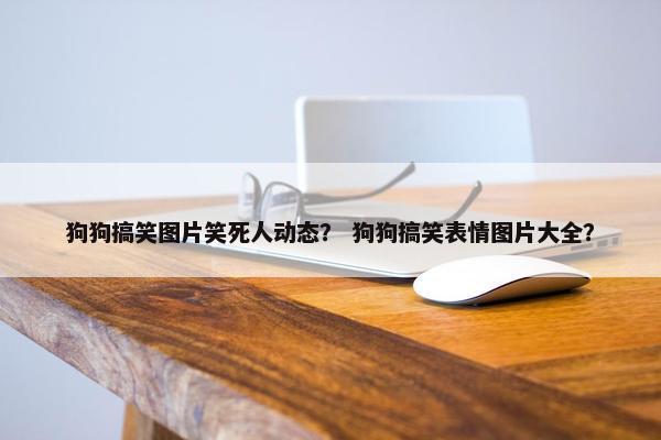 狗狗搞笑图片笑死人动态？ 狗狗搞笑表情图片大全？