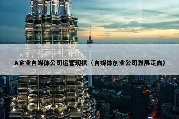 A企业自媒体公司运营现状（自媒体创业公司发展走向）