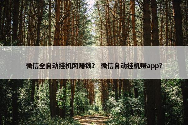 微信全自动挂机网赚钱？ 微信自动挂机赚app？