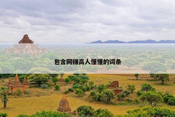 包含网赚高人懂懂的词条