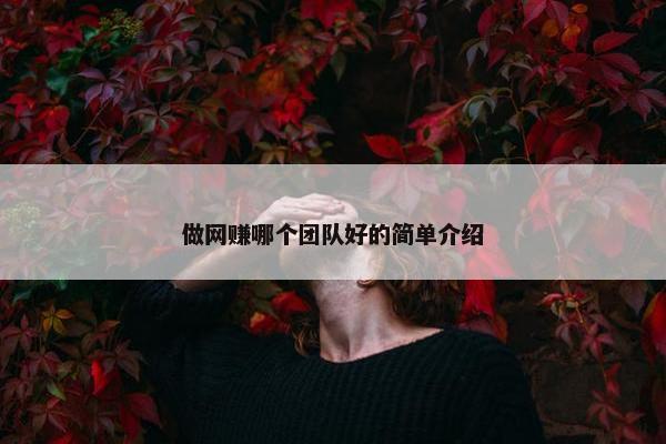 做网赚哪个团队好的简单介绍