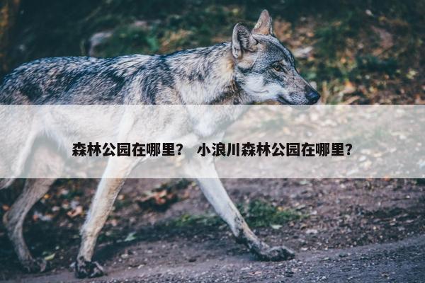 森林公园在哪里？ 小浪川森林公园在哪里？
