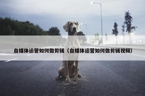 自媒体运营如何做剪辑(自媒体运营如何做剪辑视频) 自媒体运营如何做剪辑(自媒体运营如何做剪辑视频)