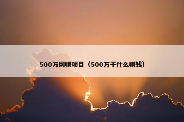 500万网赚项目（500万干什么赚钱）