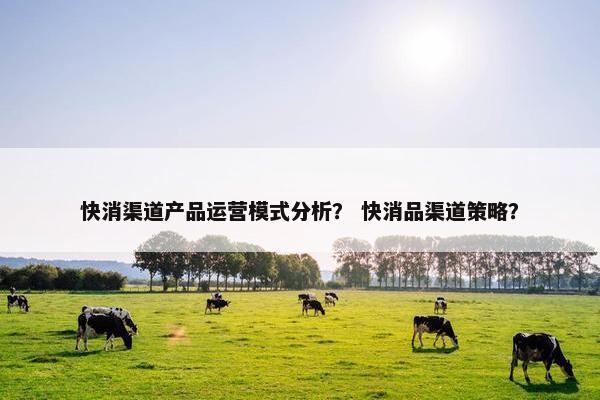 快消渠道产品运营模式分析? 快消品渠道策略? 快消渠道产品运营模式分析? 快消品渠道策略?