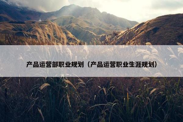 产品运营部职业规划（产品运营职业生涯规划）