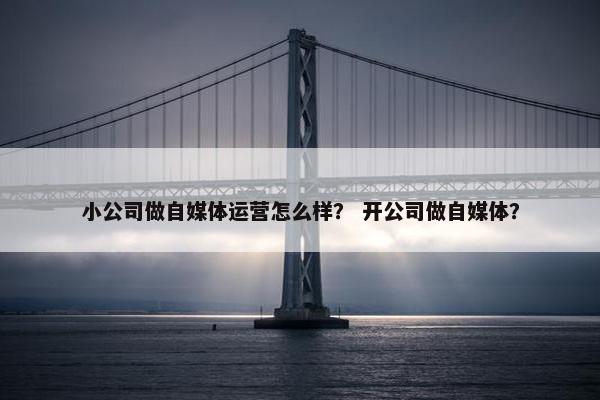 小公司做自媒体运营怎么样？ 开公司做自媒体？