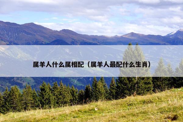 属羊人什么属相配（属羊人最配什么生肖）