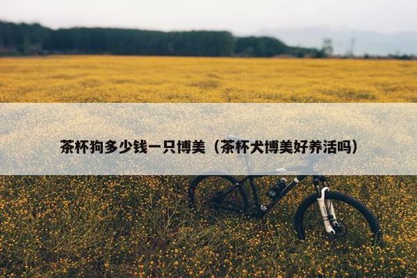 茶杯狗多少钱一只博美（茶杯犬博美好养活吗）